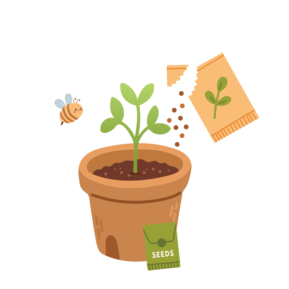 dessin pot de fleurs avec des graines